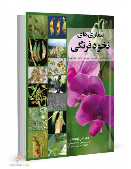 بیماری‌های نخودفرنگی