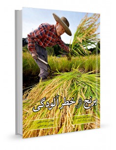 برنج و خطرات آلودگی