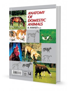تشریح کالبد شناسی حیوانات اهلی 2