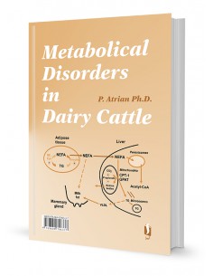 ناهنجاری‌های متابولیکی در گاوهای شیری 2