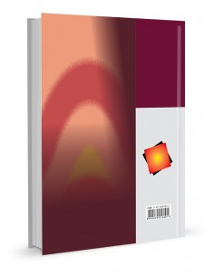 PETROLEUM RESERVOIR ENGINEERING 2