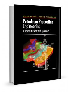 PETROLEUM PRODUCTION ENGINEERING 2