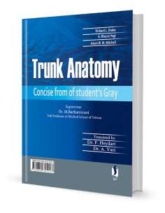 آناتومی تنه چکیده گری دانشجویی 2