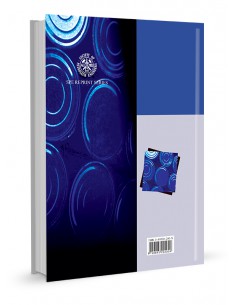 PRESSURE BUILDUP & FLOW TESTS IN WELLS 2