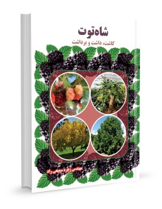 شاه توت کاشت، داشت و برداشت
