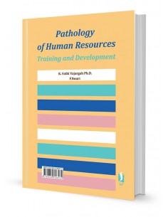 آسیب شناسی آموزش و بهسازی منابع انسانی 2