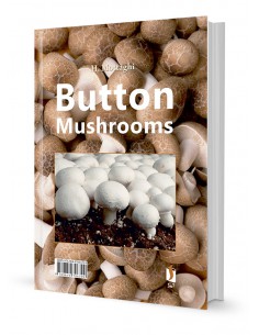 قارچ تکمه ای 2