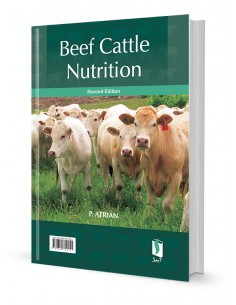 تغذیه گاو گوشتی 2