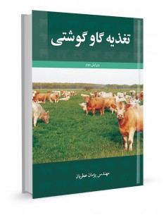 تغذیه گاو گوشتی