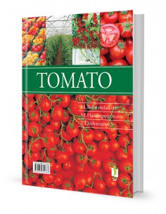 گوجه فرنگی 2